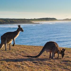 Coffs Harbour